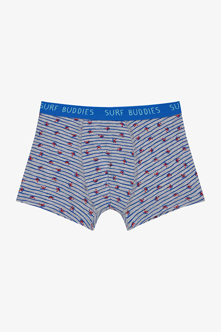 Erkek Çocuk Surf Buddies Çok Renkli 2'li Boxer - 3