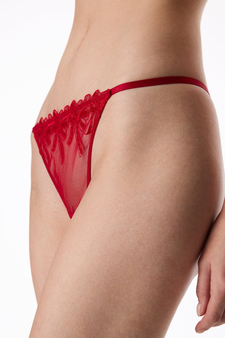 Tango Red Embroidered Bow Print Brazilian Briefs - 1