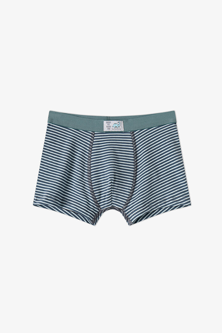 Erkek Çocuk Mavi Dino Dash Pamuklu 3'lü Boxer - 2