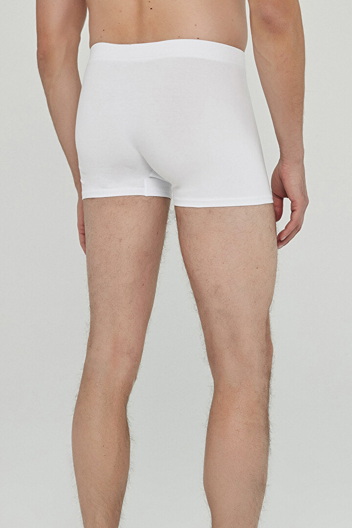 Basic Mıd 3Lü Boxer - 2