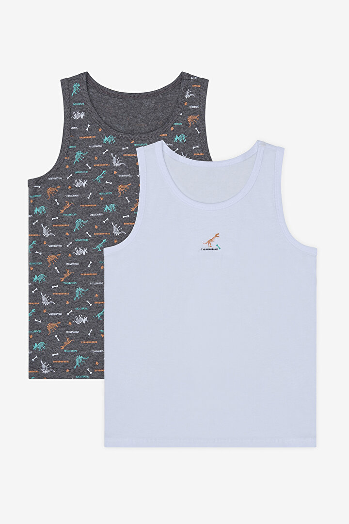 Boys Big Dino 2in1 Multi Colour Vest - 1