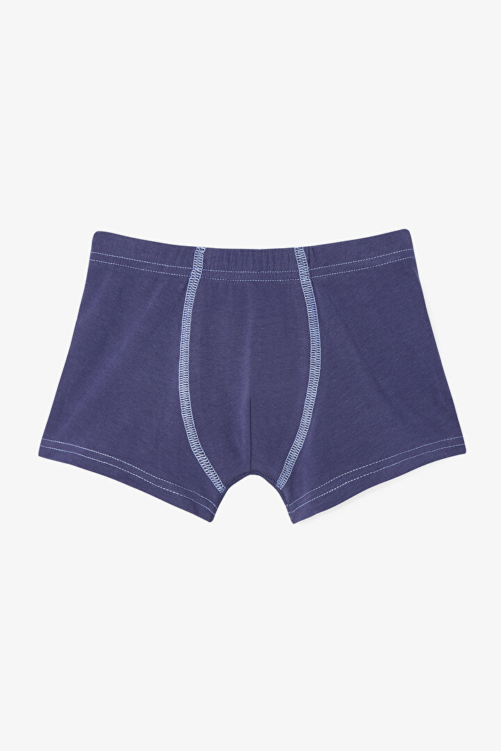 Erkek Çocuk Carousel Dinozor Baskılı 2'li Boxer - 2