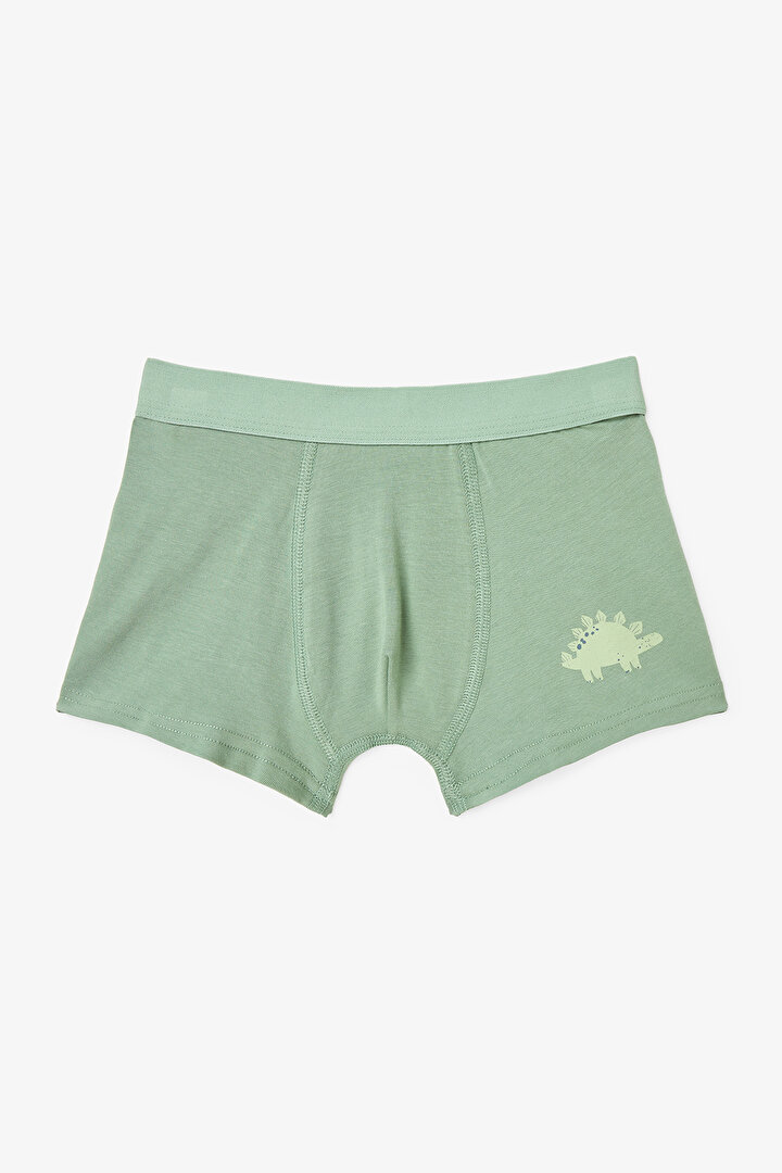 Erkek Çocuk Contour Dino Dinozor Desenli 3'lü Boxer - 2