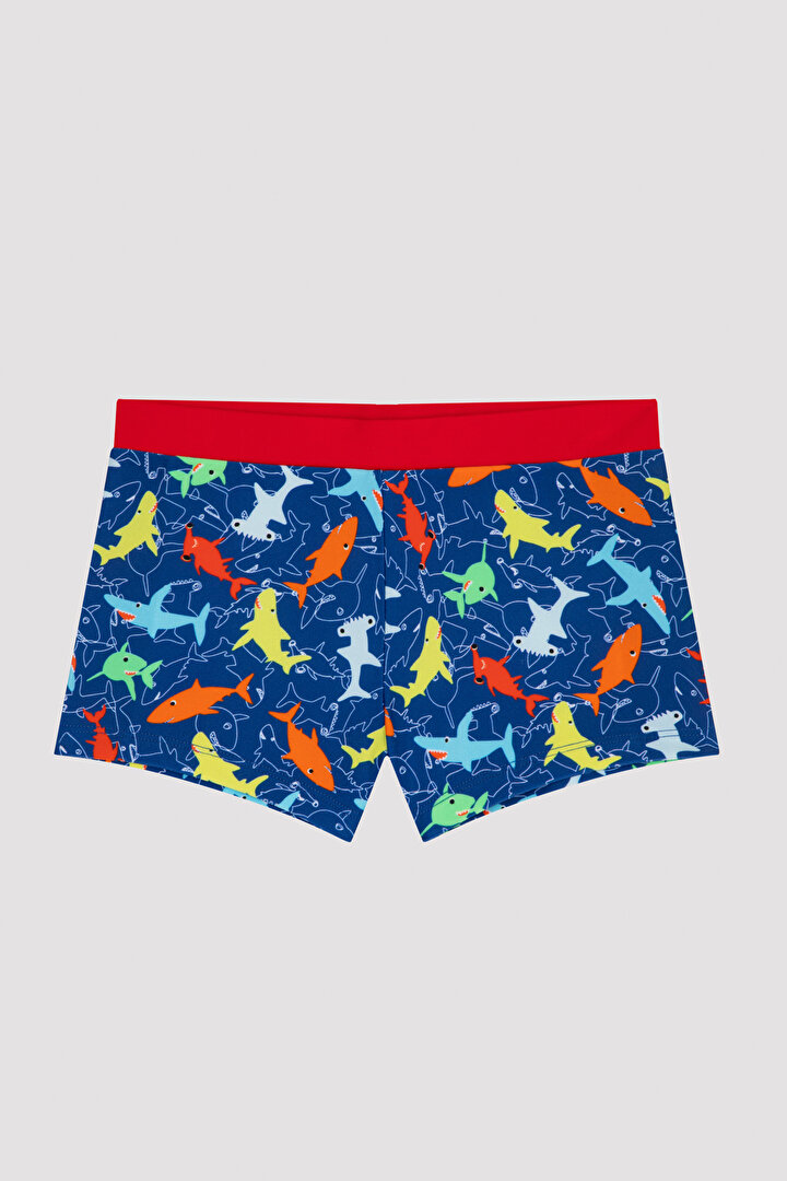 Boys Colorfull Shark Trunk Suit - 1