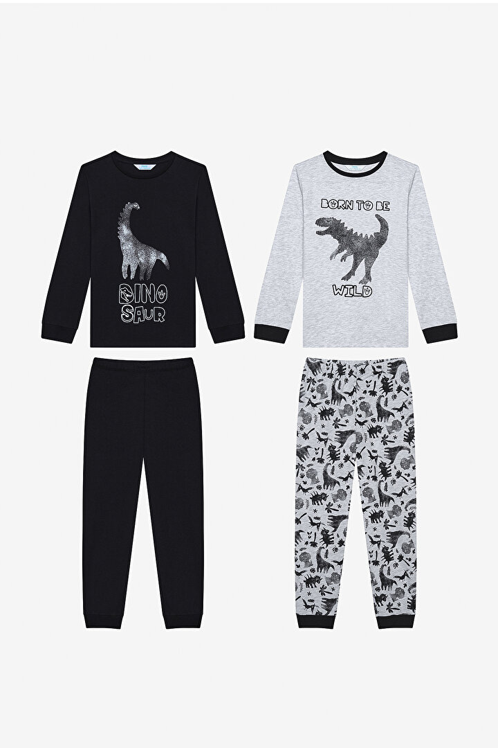 Erkek Çocuk Wild Dino 2li Çok Renkli Pijama Takımı - 1