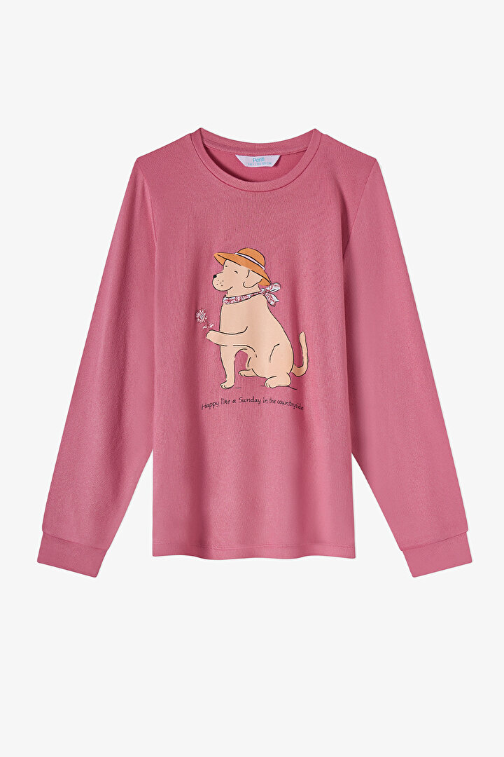 Kız Çocuk Gül Kurusu Mailing Dog Uzun Kollu Pijama Takımı - 2